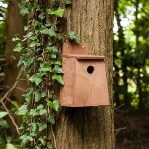 Small Bird Nest Box with 25mm Hole - Plywood - L17 x W16 x H26 cm