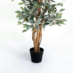 Blooming Artificial - 180cm / 6ft Variegated Artificial Ficus Tree