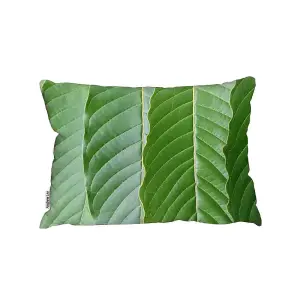 Close Up Of Green Leaves Outdoor Cushion / 30cm x 45cm