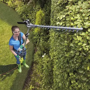 Electric Telescopic Extendable Hedge Trimmer with 2.5m Reach, Shoulder Strap & Blade Cover (900W Telescopic Hedge Trimmer)