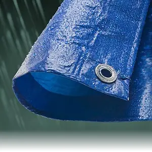 2.4M x 3.0M ECONOMY BLUE WATERPROOF TARPAULIN SHEET TARP COVER WITH EYELETS