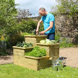 Zest 4 Tier Raised Wooden Bed Garden Layered Planter