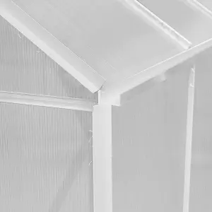 Polycarbonate Greenhouse 6ft x 8ft With Base - Silver