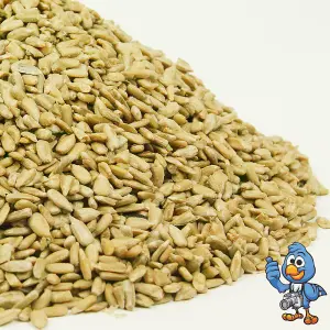 2.5L BusyBeaks Sunflower Hearts - Kernels Bird Seed Bakery Grade Food for Wild Birds