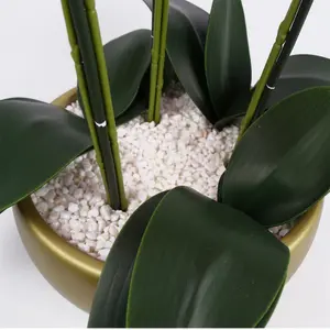 60cm Orchid White - Gold Ceramic Planter