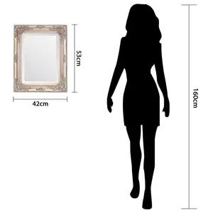 Andrews Flat Wall Mirror Champagne / 42cm x 53cm W