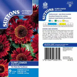 Sunflower Ruby Sunset 1 Seed Packet (20 Seeds)