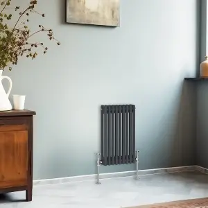 Right Radiators 600x425 mm Horizontal Traditional 2 Column Cast Iron Style Radiator Anthracite