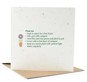 Easy Eco Wildflower Merry Christmas Cards - Eco-friendly - Pack of 10 cards