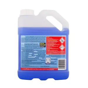 Wet and Forget Patio Cleaner Outdoor Mould Lichen and Algae Remover Multi Surface 2L