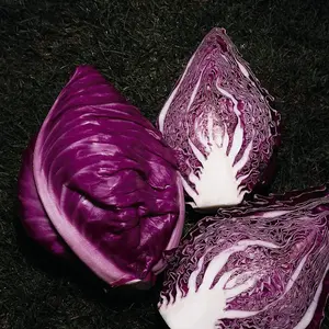 Cabbage Kalibos 1 Seed Packet (100 Seeds)