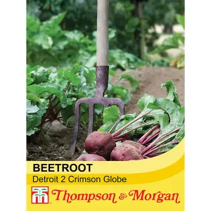 Beetroot Detroit 2 Crimson Globe 1 Seed Packet (250 Seeds)