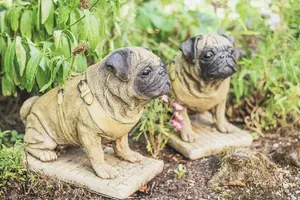 Pair of Full Size Sitting Pugs Stone Statues