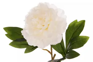 White Peony Stem Artificial Plant Foliage