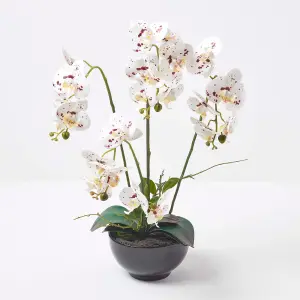 Homescapes White Orchid 62 cm Phalaenopsis in Ceramic Pot Extra Large, 5 Stems