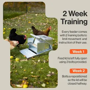 SuperHandy Chicken Feeder Automatic Spill Proof Galvanized Steel Bird Prevention for Chickens, Pheasants, or Roosters