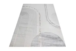 Mystique Large Indoor Rug 200 X 290cm