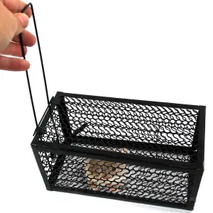 Metal Rat Mouse Trap Humane Live Bait Vermin Rodent Cage 2pcs Traps Mice Pest