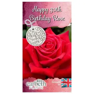 Happy 30th Birthday Rose Bush Gift Wrapped - Plant Gift Perfect for Gardeners