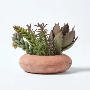 Homescapes Artificial Succulent Arrangement in Decorative Round Terracotta Pot, 15cm Tall