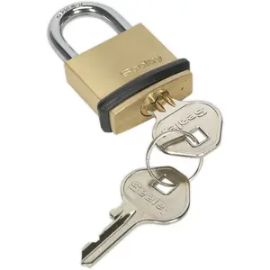 Durable 30mm Brass Padlock with 5mm Hardened Steel Shackle and 2 Keys