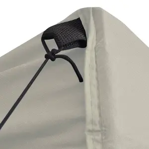 Berkfield Professional Folding Party Tent with 4 Sidewalls 2x2 m Steel Cream