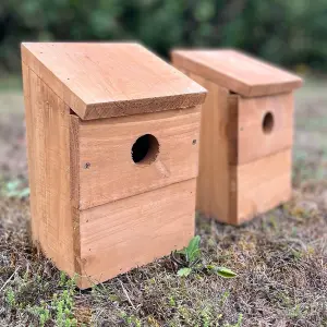 Wooden Multi-Hole Wild Bird Classic Nest Birdhouse Boxes (Set of 2)