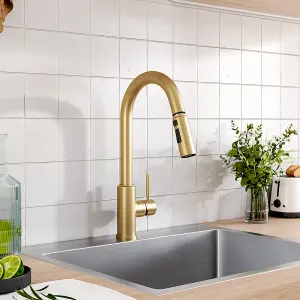 Single Stainless Steel Lever Handle Kitchen Tap with Pull-Out Hose in Gold