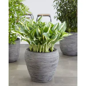 Capi Vase Nature Rib Tapered 42x38 cm Anthracite KOFZ362