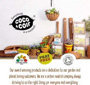 Coco & Coir Biodegradable Plant Pots  Plastic Free Eco-friendly Propagation Pots (Square) (48, 8cm  3 icnhes)