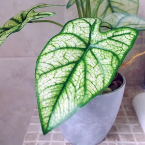 40cm Artificial Taro House Plant in Decorative Planter