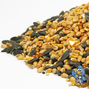 1L BusyBeaks Year Round Mixture - Nutritious Garden Bird Seed Food For Wild Birds