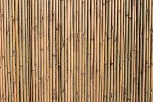 Heavy Duty Bamboo Garden Screening Fencing Rolls 1.8M Tall and 2M Long -Thick 25-28mm Bamboo Canes