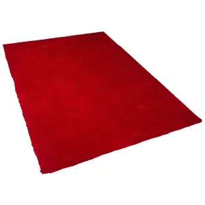 Shaggy Area Rug 200 x 300 cm Red DEMRE