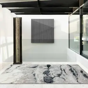 Quartz Modern Abstract Optical Easy to Clean Rug for Living Room Bedroom and Dining Room-200cm X 290cm