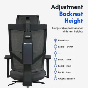 FlexiSpot Breathable and Comfortable Ergonomic Office Chair with Lumbar Support in Black