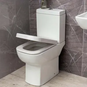 Astral Comfort Height Close Coupled Toilet with Soft Close Seat & Cistern