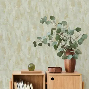 Grandeco Venetian Textured Distressed Concrete Stone Wallpaper, Green