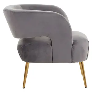 Interiors by Premier Grey Velvet Chair with Gold Finish Metal Legs, Backrest Dining Chair, Easy to Clean Armchair