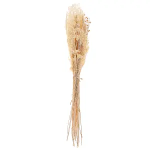 Dried Flower Bouquet BRUNETE Natural