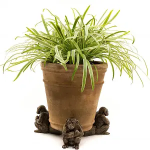 Chimpanzee Plant Pot Feet - Set of 3 - L9.5 x W6.5 x H9 cm