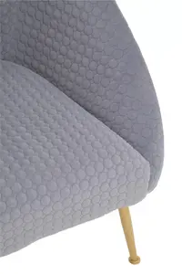 Interiors by Premier Grey Occasional Chair, Luxury Grey Velvet Occasional Chair, Comfortably Fashionable Grey and Gold Chair