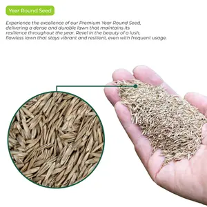 15KG GARDENERS DREAM GENERAL PURPOSE PREMIUM QUALITY GARDEN LAWN GRASS SEED