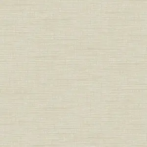 Grandeco Katsu Texture Plain Blown Wallpaper, Beige