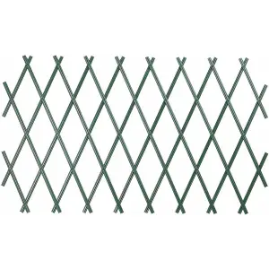 Plastic Wall Trellis Expanding Plant Climbing Vine Garden PVC Fence 200 x 100cm