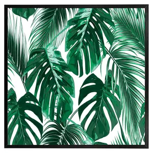 Palm leaves (Picutre Frame) / 20x20" / Oak