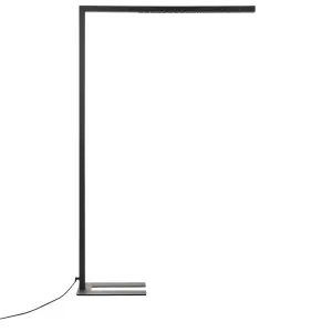 Metal LED Floor Lamp Black MENSA