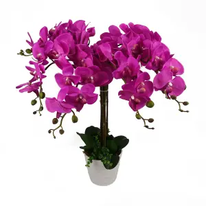 Artificial Deluxe Bush Orchid Pink 85cm Bush Orchid Lots of Flowers Botanik