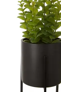 Interiors By Premier Minimalist Thyme, Versatile Thyme With Leaves And Decorative Classic Comcrete Planter For Artificial Flowers