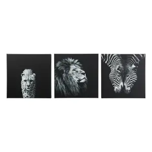 Animals Black & white Canvas art, Set of 3 (H)30cm x (W)90cm